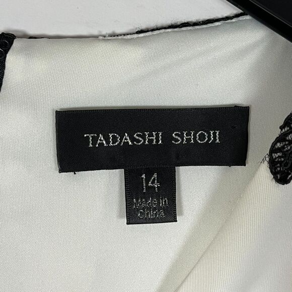 Tadashi Shoji Dress Embroidered Lace Overlay Size 14 Formal Elegant Event MOB - Picture 3 of 12